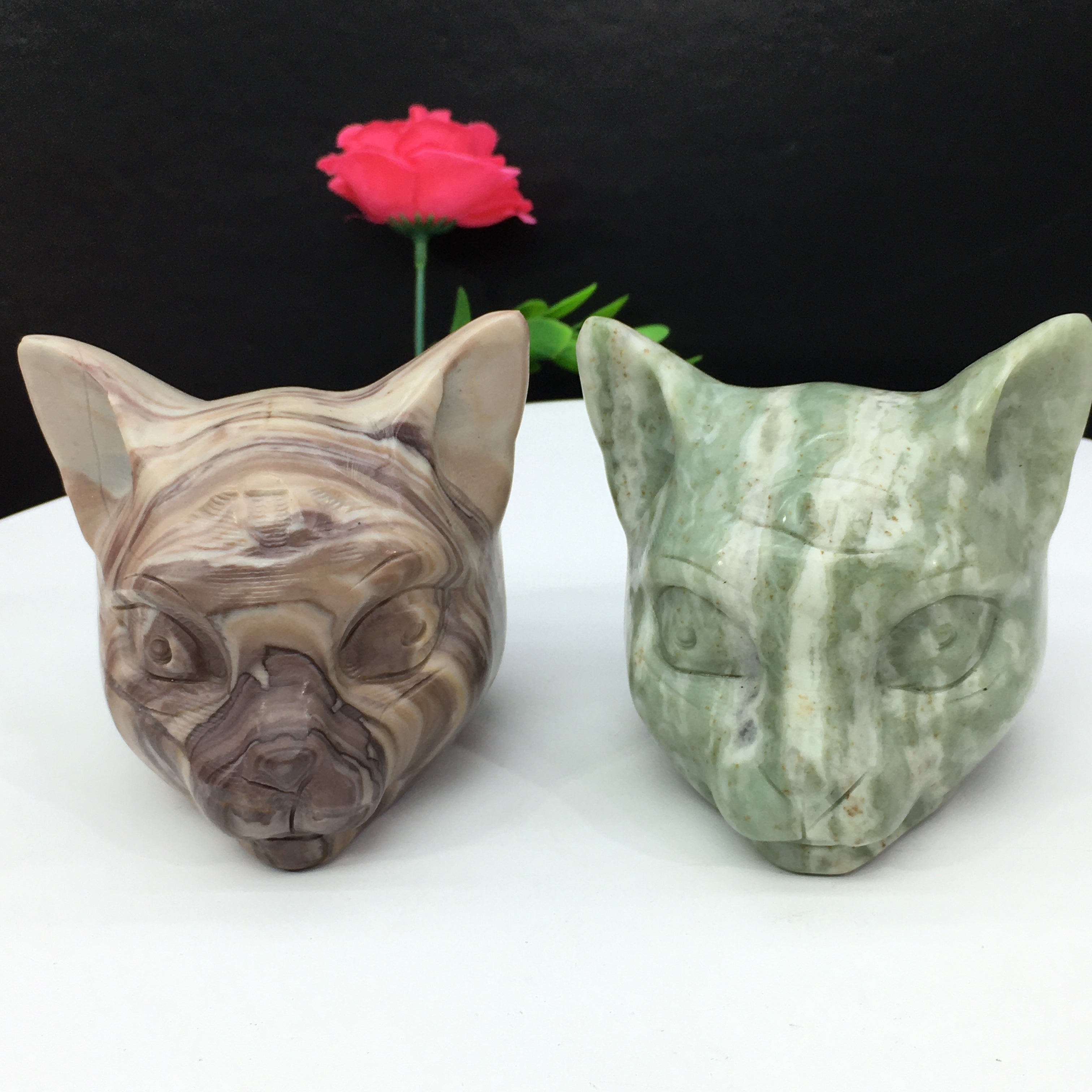 all kinds of cat head