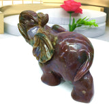 ocean jasper elephant