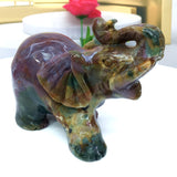 ocean jasper elephant
