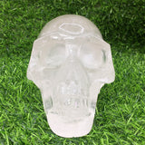 clear quartz   skull                   B19