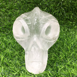 clear quartz skull    B20