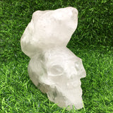 clear quartz    skull      B21