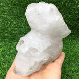 clear quartz    skull      B21