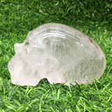 clear quartz   skull  B22