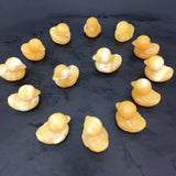 calcite duck