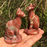 dendritic rhodonite cat