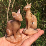 dendritic rhodonite cat
