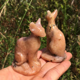 dendritic rhodonite cat