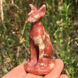 dendritic rhodonite cat