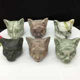 all kinds of cat head