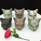 all kinds of cat head