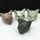 all kinds of cat head