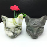 all kinds of cat head