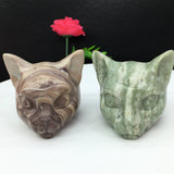 all kinds of cat head