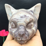 all kinds of cat head