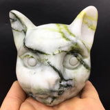 all kinds of cat head