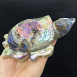 aura sphalerite see turtle