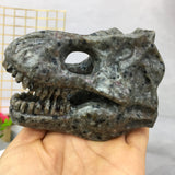 yooper lite dinosaur skull