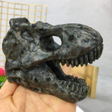 yooper lite dinosaur skull