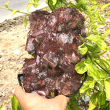 chocolate calcite speiemn
