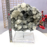 This is a decorative item with ultraviolet reaction. lt‘s very beautiful.