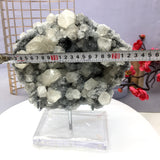 This is a decorative item with ultraviolet reaction. lt‘s very beautiful.