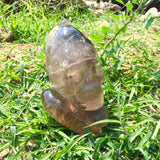 rutiles big skull