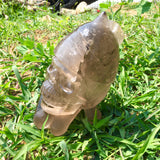 rutiles big skull